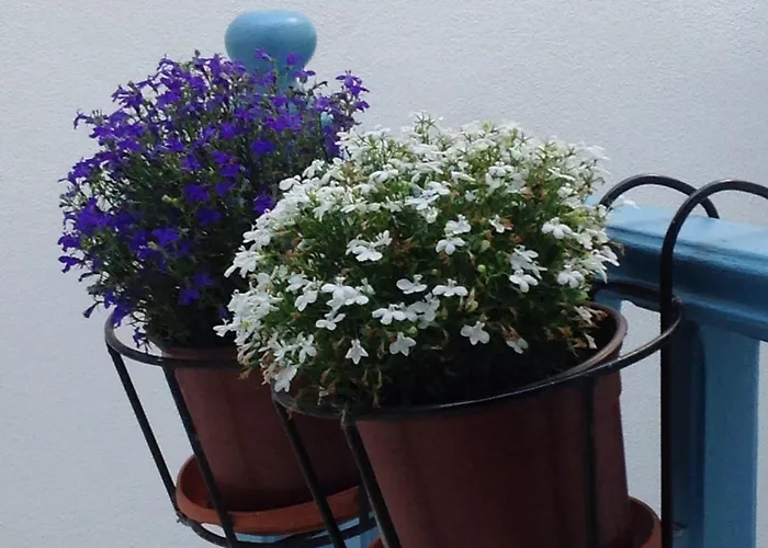 Hotel Panorama Naxos City