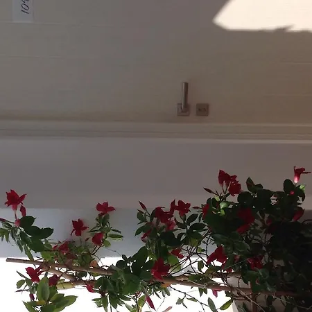 酒店 全景酒店 Naxos City