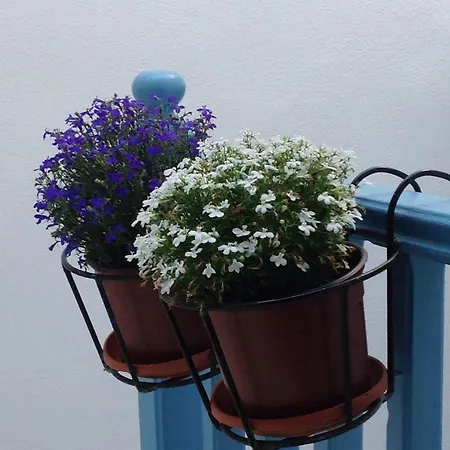 酒店 全景酒店 Naxos City
