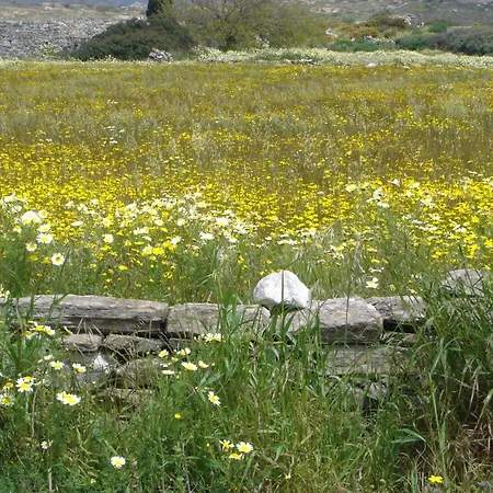 酒店 全景酒店 2*