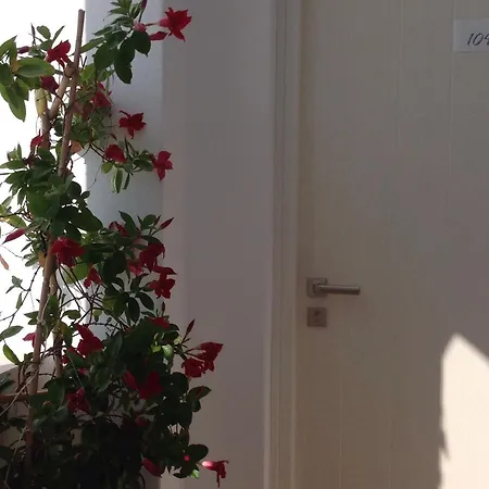 πανόραμα Naxos City