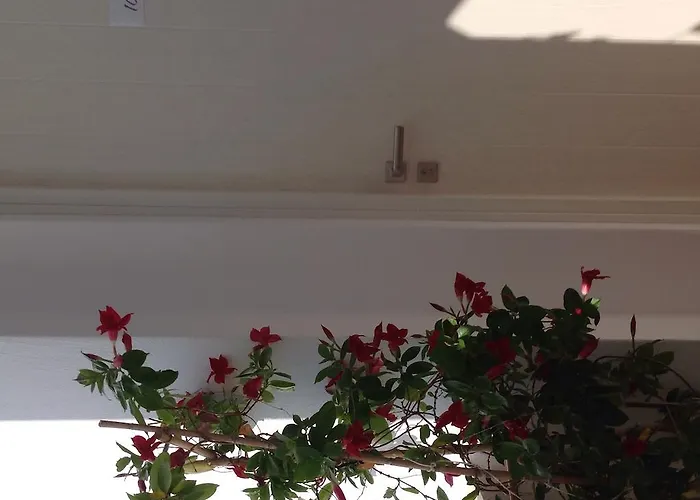 酒店 全景酒店 Naxos City