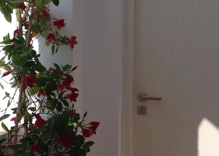 全景酒店 Naxos City